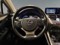 Lexus NX 300 h Style Edition *8FACH*CARPLAY* Grün - thumbnail 13
