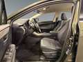Lexus NX 300 h Style Edition *8FACH*CARPLAY* Grün - thumbnail 10