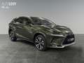 Lexus NX 300 h Style Edition *8FACH*CARPLAY* Grün - thumbnail 8