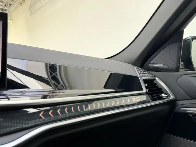 BMW X6 view 12