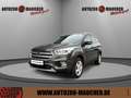 Ford Kuga 2.0 TDCi Cool & Conn 4X4 KLIMA/SHZ/NAVI/PDC Gris - thumbnail 1