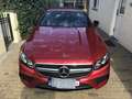 Mercedes-Benz E 53 AMG 4Matic+ Cabrio Speedshift TCT-9G - thumbnail 1