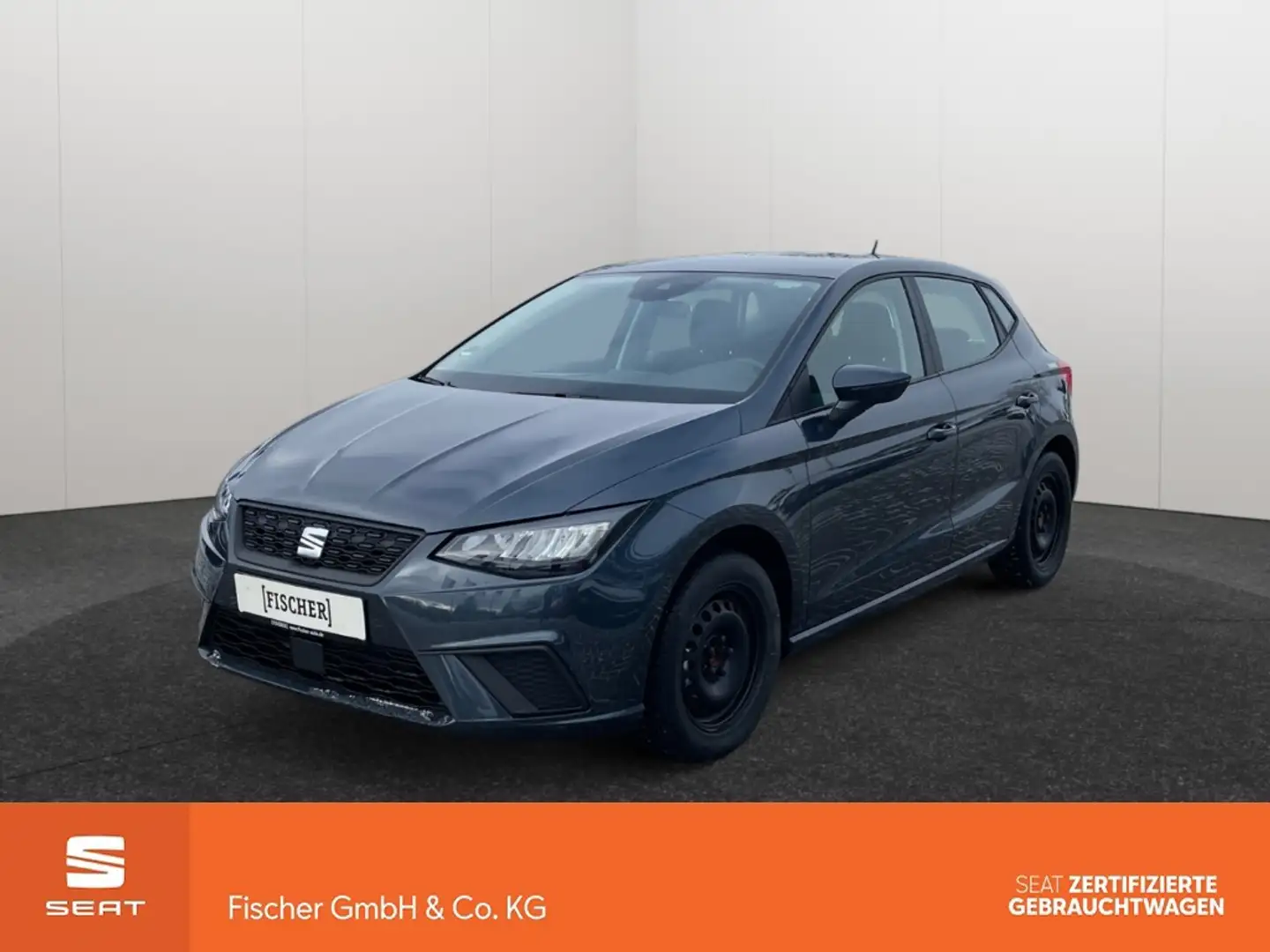 SEAT Ibiza 1.0TSI Style Edition LED Klima SHZ PDC hinten Grau - 1