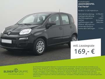 Pandina 1.0 GSE Hybrid Icon