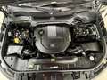 Land Rover Range Rover Sport HSE-Dynamic BlackPack Pano ACC Schwarz - thumbnail 10
