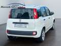 Fiat Panda 0.9 TwinAir Klima 1.Hd PDC Start-Stop Alufelgen Ko Weiß - thumbnail 5
