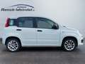 Fiat Panda 0.9 TwinAir Klima 1.Hd PDC Start-Stop Alufelgen Ko Weiß - thumbnail 6