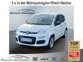 Fiat Panda 0.9 TwinAir Klima 1.Hd PDC Start-Stop Alufelgen Ko Weiß - thumbnail 1