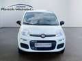 Fiat Panda 0.9 TwinAir Klima 1.Hd PDC Start-Stop Alufelgen Ko Weiß - thumbnail 8