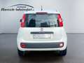 Fiat Panda 0.9 TwinAir Klima 1.Hd PDC Start-Stop Alufelgen Ko Weiß - thumbnail 4