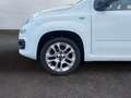 Fiat Panda 0.9 TwinAir Klima 1.Hd PDC Start-Stop Alufelgen Ko Weiß - thumbnail 14