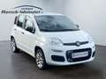Fiat Panda 0.9 TwinAir Klima 1.Hd PDC Start-Stop Alufelgen Ko Weiß - thumbnail 7