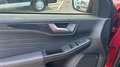 Ford Kuga 2.5 PHEV ST-LINE AUTO 243 5P Rojo - thumbnail 19