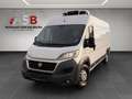 Fiat Ducato Maxi  35 130 L5H2 R Kühlkasten Bianco - thumbnail 1