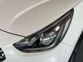 Kia Niro (G5W5K6A1TEV2KK393) F/L 1.6 PHEV Wit - thumbnail 16