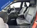 Lexus LBX 1.5 hybrid cool 4wd Brons - thumbnail 10
