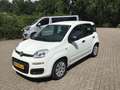 Fiat Panda 0.9 TWINAIR POPSTAR Wit - thumbnail 1