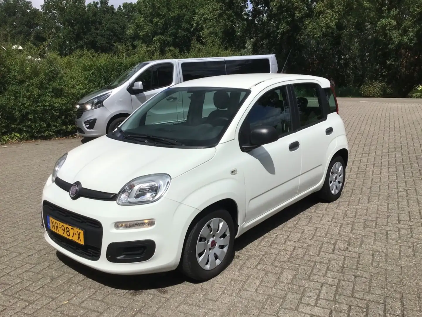 Fiat Panda 0.9 TWINAIR POPSTAR Wit - 1