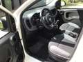 Fiat Panda 0.9 TWINAIR POPSTAR Wit - thumbnail 11