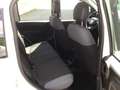 Fiat Panda 0.9 TWINAIR POPSTAR Wit - thumbnail 8
