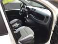 Fiat Panda 0.9 TWINAIR POPSTAR Wit - thumbnail 7
