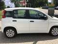 Fiat Panda 0.9 TWINAIR POPSTAR Wit - thumbnail 6