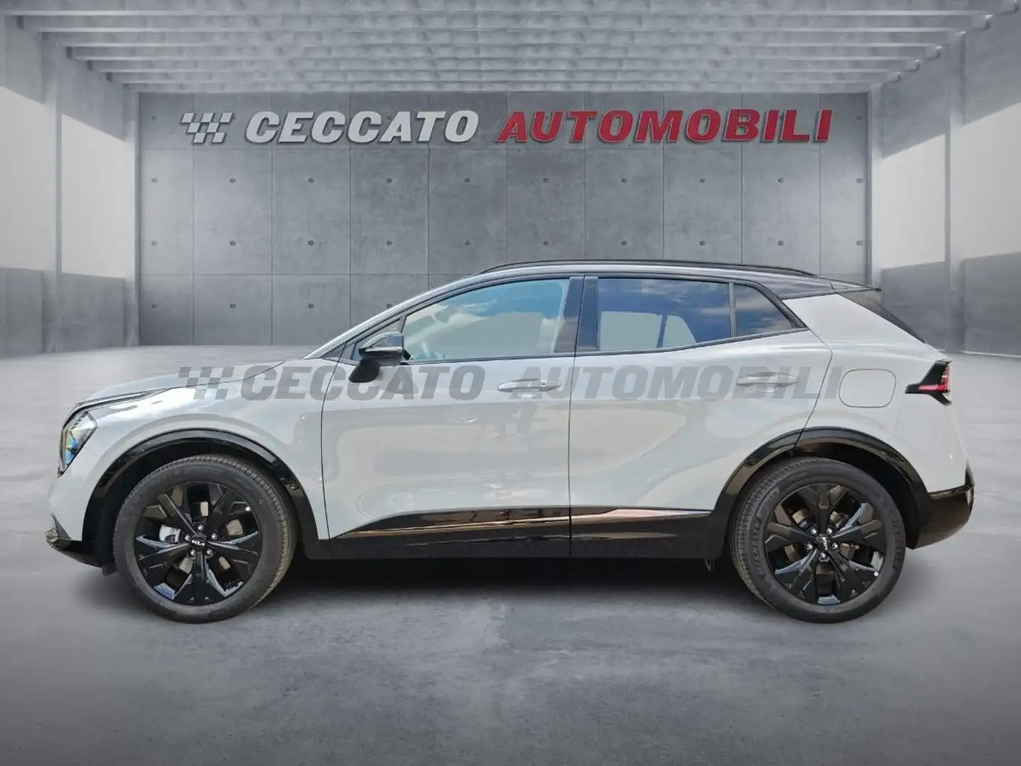 Kia Sportage Sportage 1.6 tgdi hev Special Edition auto Grigio - 2