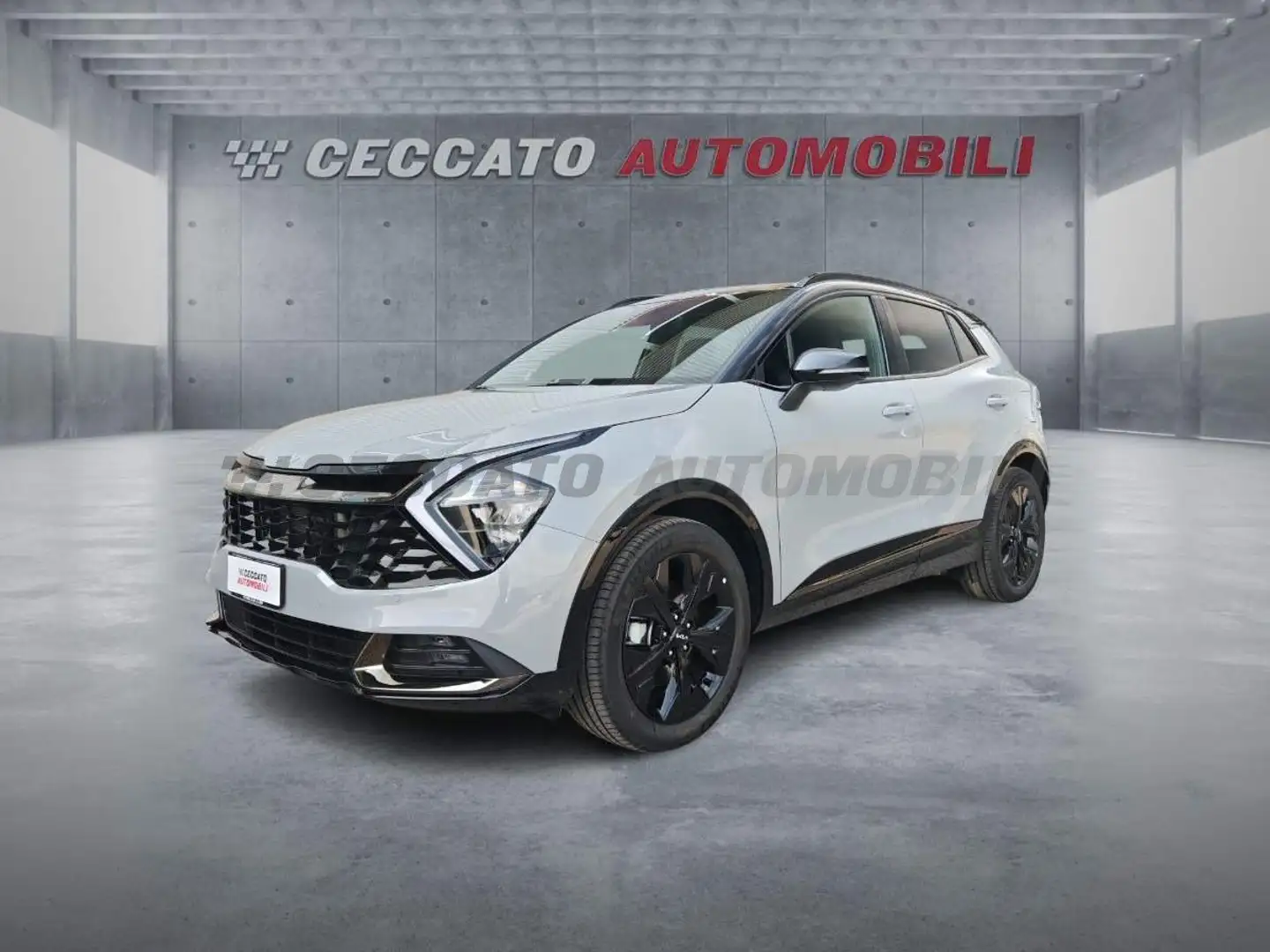 Kia Sportage Sportage 1.6 tgdi hev Special Edition auto Grigio - 1