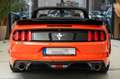 Ford Mustang Basis 3,7 Mach 1 LEDER LED TOP Orange - thumbnail 7