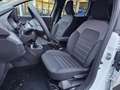 Dacia Jogger Expression TCe 110 PF 5 Sitzig Weiß - thumbnail 6