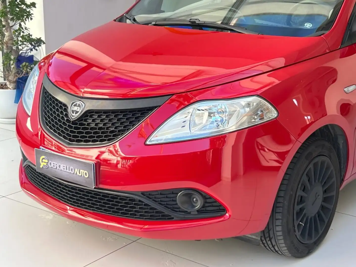 Lancia Ypsilon 1.2 69 CV 5 porte GPL Ecochic Elefantino Blu Rouge - 2