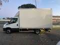 Iveco Daily 35C180 motore 3000 Bianco - thumbnail 4