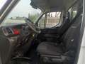 Iveco Daily 35C180 motore 3000 Bianco - thumbnail 12