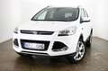 Ford Kuga Titanium 4x4*Bi-Xenon*Navi*Automatik* Weiß - thumbnail 1