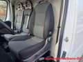 Fiat Ducato 35 2.2 Mjt 140CV PLM-TM Furgone Blanco - thumbnail 9