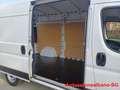 Fiat Ducato 35 2.2 Mjt 140CV PLM-TM Furgone Blanco - thumbnail 11