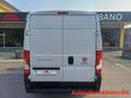 Fiat Ducato 35 2.2 Mjt 140CV PLM-TM Furgone Blanco - thumbnail 6