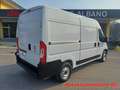 Fiat Ducato 35 2.2 Mjt 140CV PLM-TM Furgone Blanco - thumbnail 7