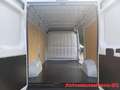 Fiat Ducato 35 2.2 Mjt 140CV PLM-TM Furgone Blanco - thumbnail 10