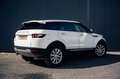 Land Rover Range Rover Evoque 2.2 TD4 4WD Pure Business Edition Blanc - thumbnail 7