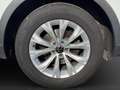 Volkswagen Tiguan 1.5 TSI CLIMATRONIC SITZHZG EINPARKHILFE Bianco - thumbnail 7
