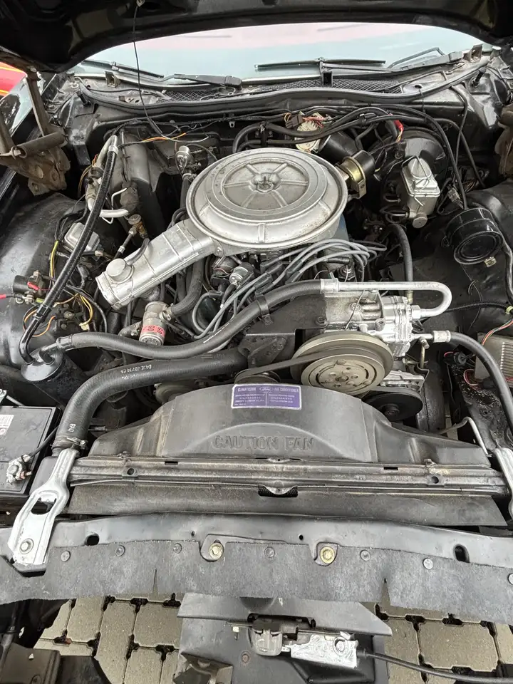 Ford LTD 2, foto 5