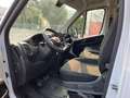 Fiat Ducato Ducato 35 2.2 Mjt 140CV PM-TM Furgone Bianco - thumbnail 8