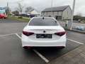 Alfa Romeo Giulia Giulia 2.2 JTDm Super GARANTIE 12MOIS Wit - thumbnail 5