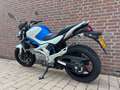 Suzuki Gladius 650 Modrá - thumbnail 2
