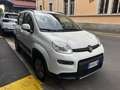 Fiat Panda Panda III 2012 4x4 1.3 mjt 16v 4x4 75cv E5+ Bianco - thumbnail 4