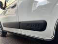 Fiat Panda Panda III 2012 4x4 1.3 mjt 16v 4x4 75cv E5+ Bianco - thumbnail 13