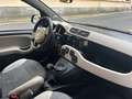 Fiat Panda Panda III 2012 4x4 1.3 mjt 16v 4x4 75cv E5+ Bianco - thumbnail 8