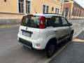 Fiat Panda Panda III 2012 4x4 1.3 mjt 16v 4x4 75cv E5+ Bianco - thumbnail 6