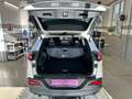 Jeep Cherokee 2,0 MultiJet Longitude | 8-fach | §57a: 02.26 Weiß - thumbnail 12